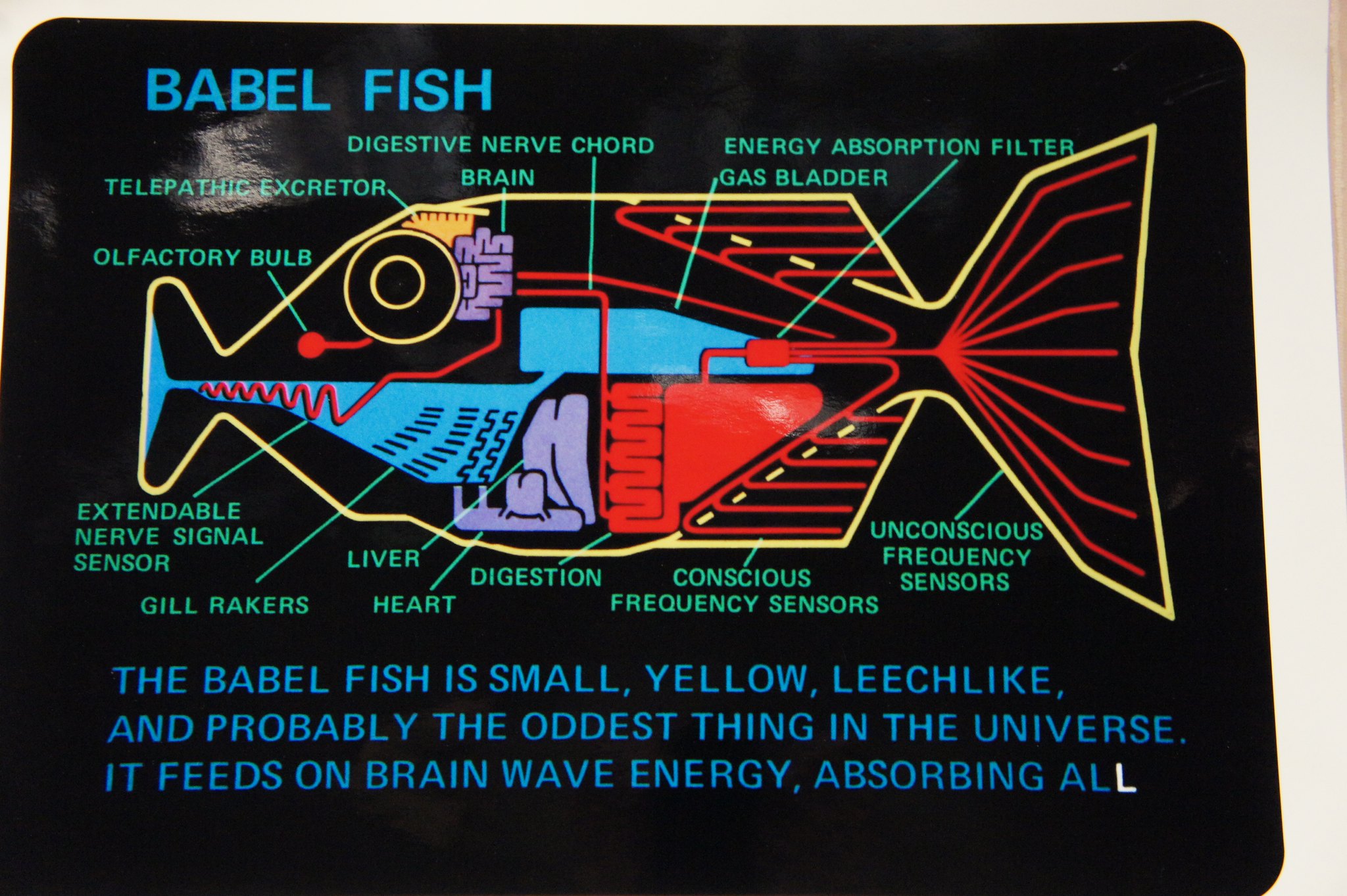Moore’s Law and the Babel Fish