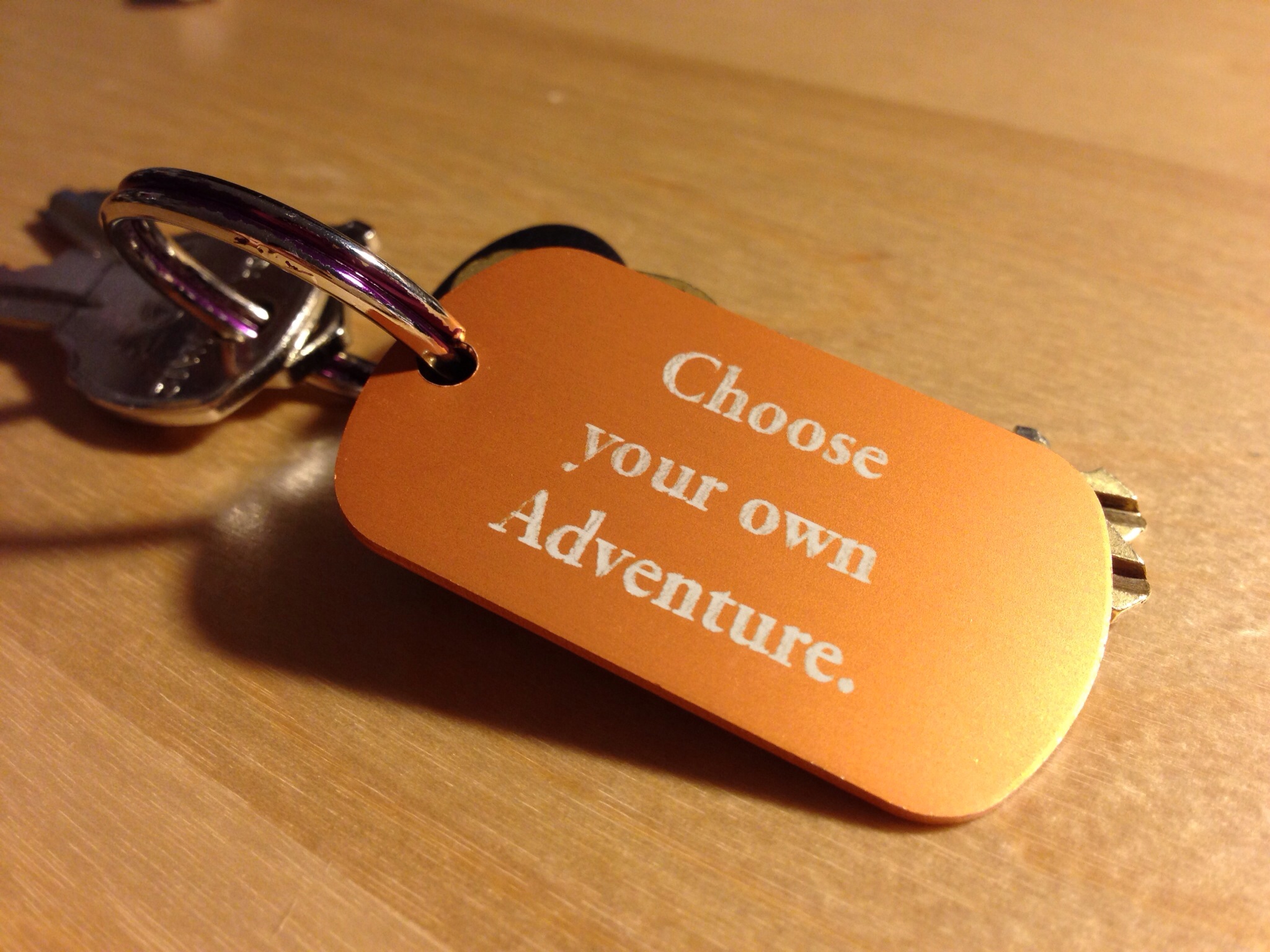 The Paths You Choose in a Choose Your Own Adventure